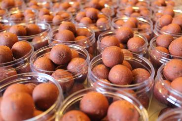 Fish Mussel Strong Hookbaits 100 g.